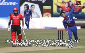 one day cricket match