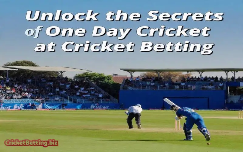 one day cricket